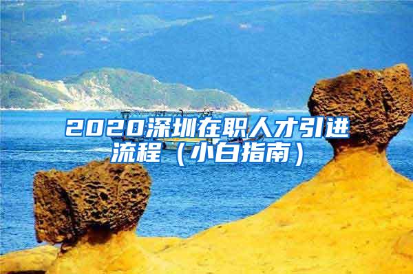 2020深圳在职人才引进流程（小白指南）