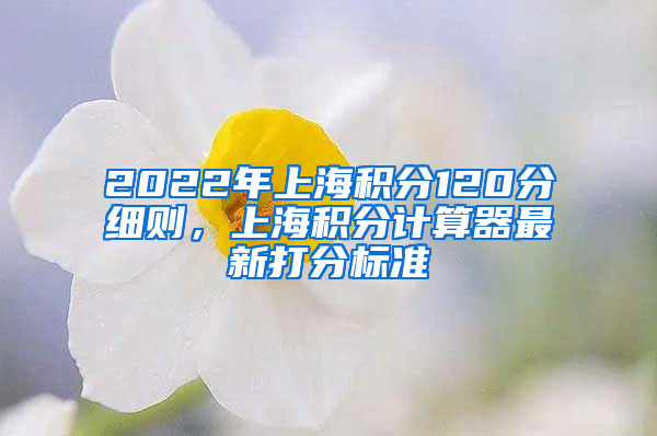 2022年上海积分120分细则，上海积分计算器最新打分标准