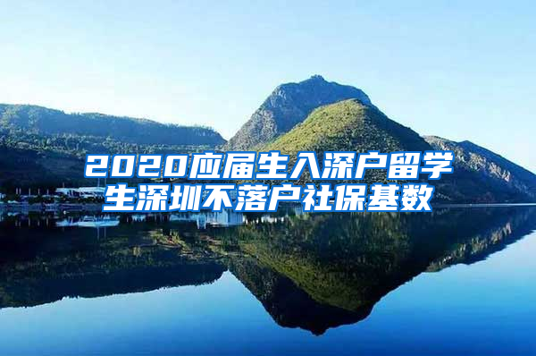 2020应届生入深户留学生深圳不落户社保基数