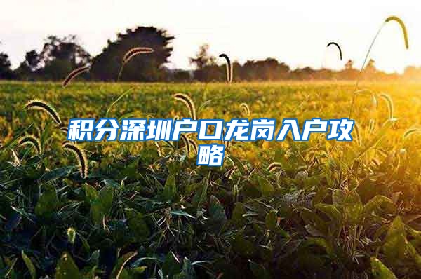 积分深圳户口龙岗入户攻略