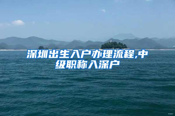 深圳出生入户办理流程,中级职称入深户