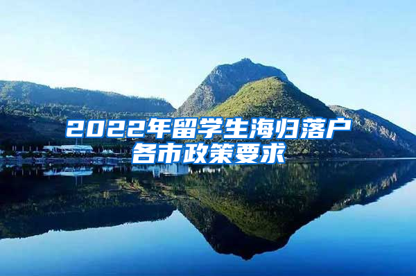 2022年留学生海归落户各市政策要求