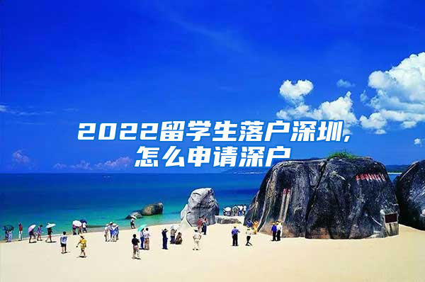 2022留学生落户深圳,怎么申请深户