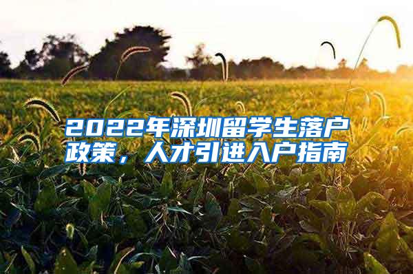 2022年深圳留学生落户政策，人才引进入户指南