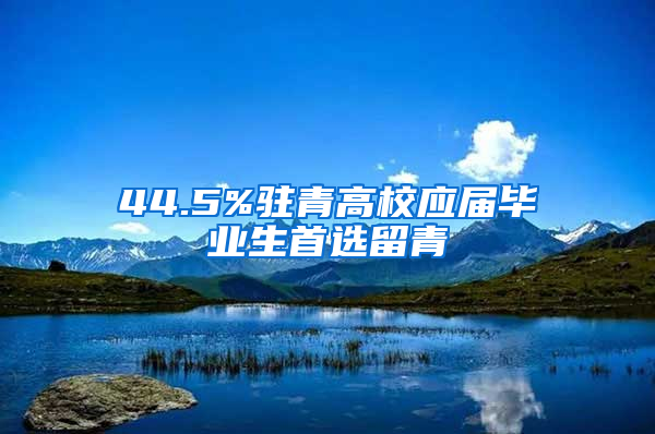 44.5%驻青高校应届毕业生首选留青