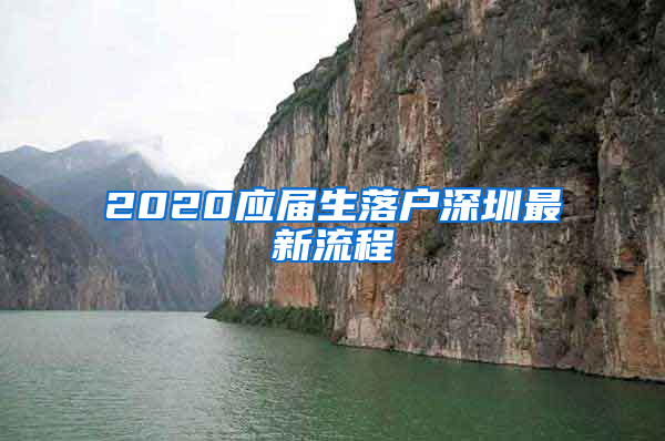 2020应届生落户深圳最新流程