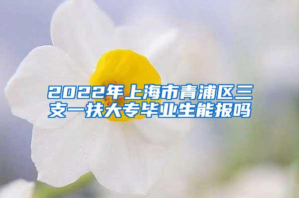 2022年上海市青浦区三支一扶大专毕业生能报吗