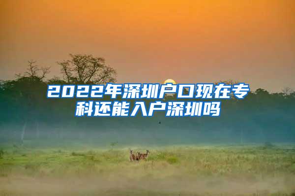 2022年深圳户口现在专科还能入户深圳吗