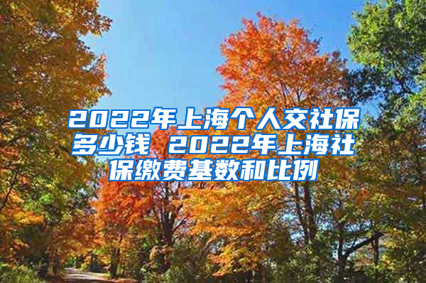 2022年上海个人交社保多少钱 2022年上海社保缴费基数和比例