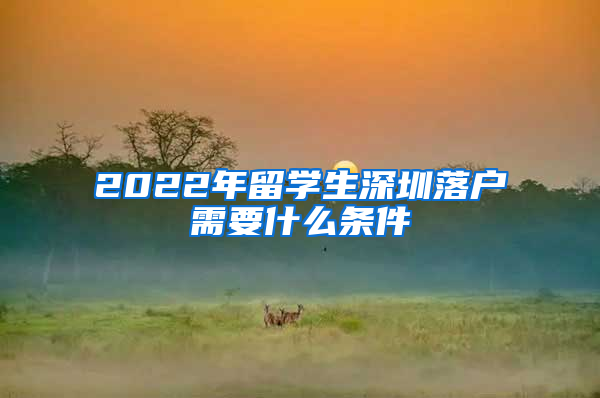 2022年留学生深圳落户需要什么条件