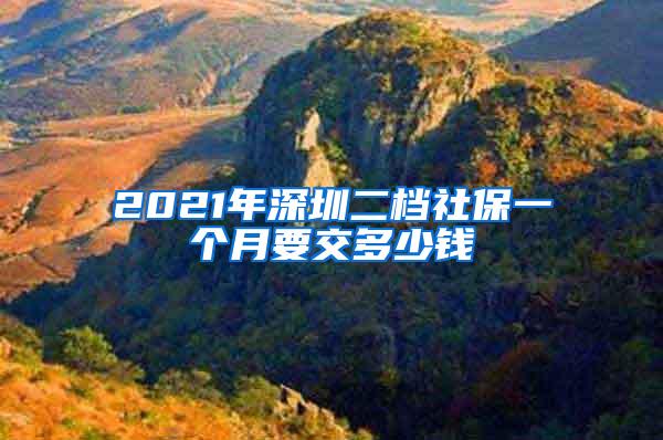 2021年深圳二档社保一个月要交多少钱