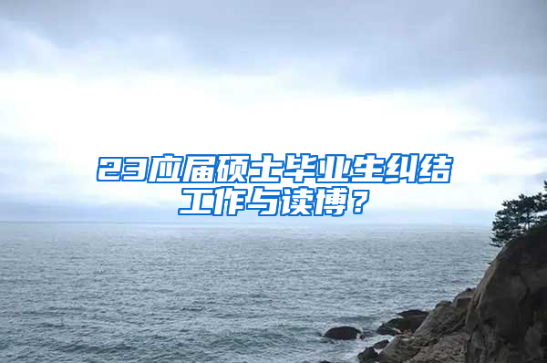 23应届硕士毕业生纠结工作与读博？