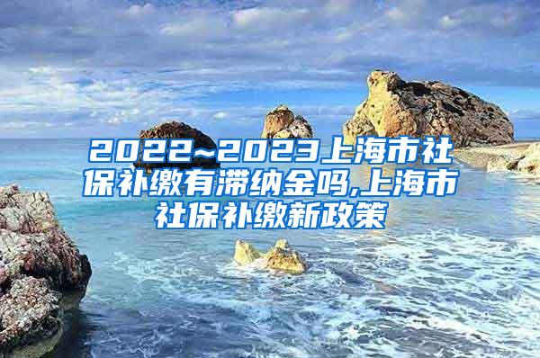 2022~2023上海市社保补缴有滞纳金吗,上海市社保补缴新政策