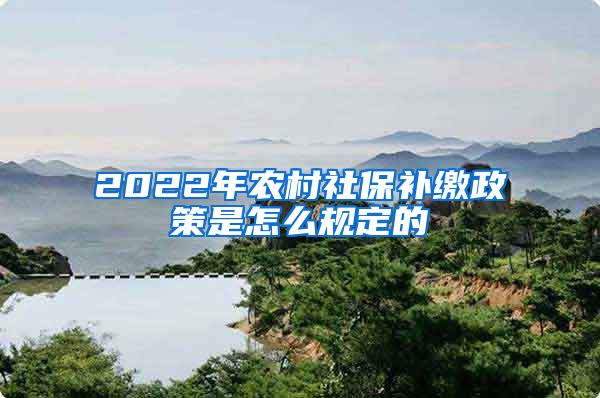 2022年农村社保补缴政策是怎么规定的