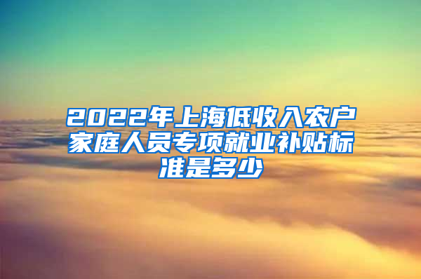 2022年上海低收入农户家庭人员专项就业补贴标准是多少