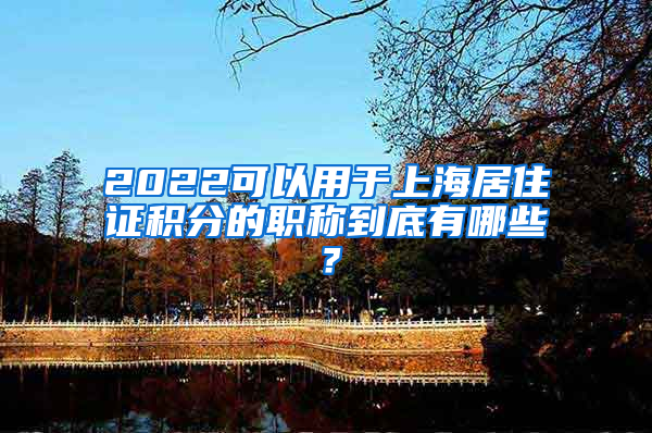 2022可以用于上海居住证积分的职称到底有哪些？