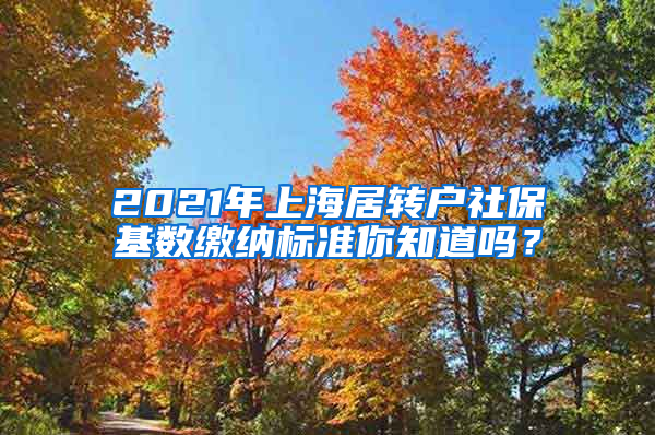 2021年上海居转户社保基数缴纳标准你知道吗？