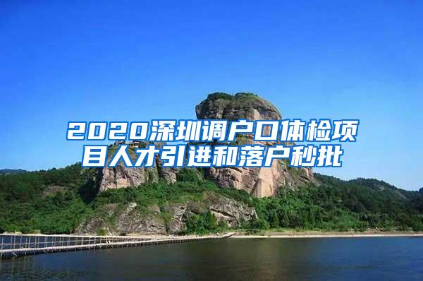 2020深圳调户口体检项目人才引进和落户秒批