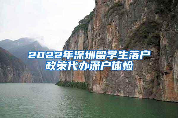 2022年深圳留学生落户政策代办深户体检