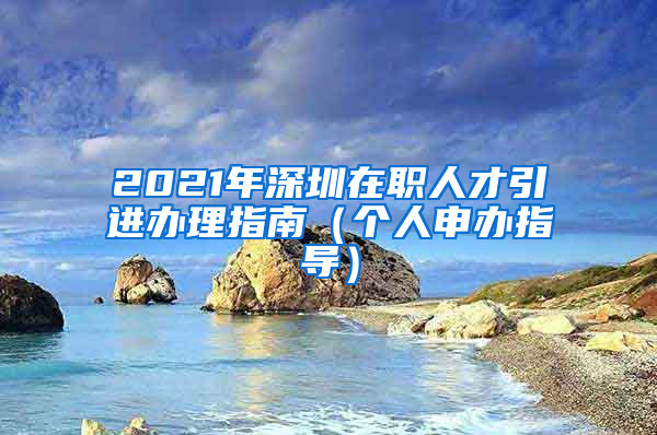 2021年深圳在职人才引进办理指南（个人申办指导）