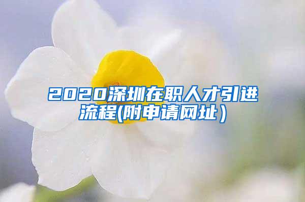 2020深圳在职人才引进流程(附申请网址）