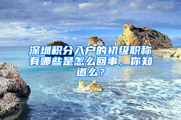 深圳积分入户的初级职称有哪些是怎么回事，你知道么？