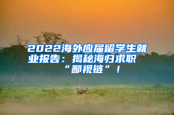 2022海外应届留学生就业报告：揭秘海归求职“鄙视链”！