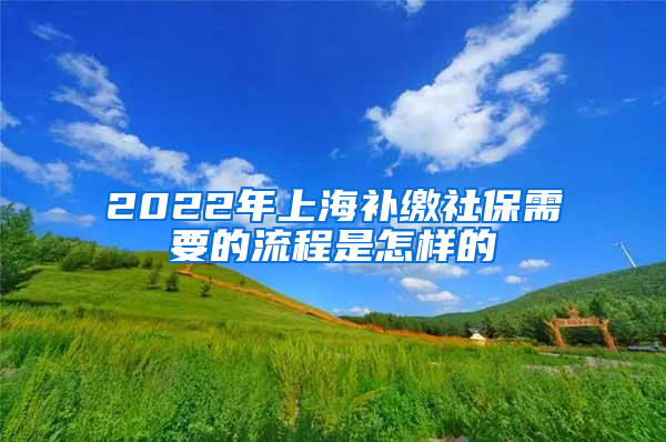 2022年上海补缴社保需要的流程是怎样的