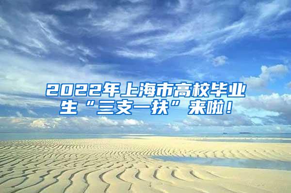 2022年上海市高校毕业生“三支一扶”来啦！