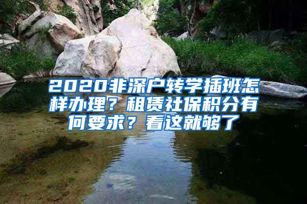 2020非深户转学插班怎样办理？租赁社保积分有何要求？看这就够了