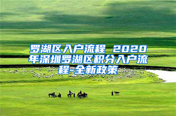 罗湖区入户流程 2020年深圳罗湖区积分入户流程-全新政策