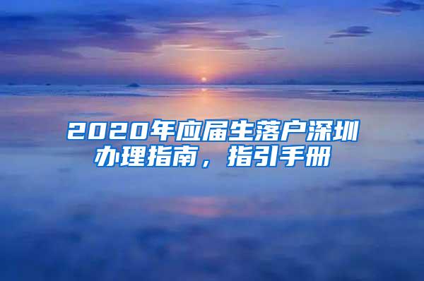 2020年应届生落户深圳办理指南，指引手册