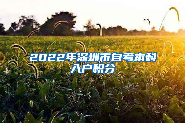 2022年深圳市自考本科入户积分