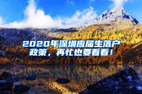 2020年深圳应届生落户政策，再忙也要看看！