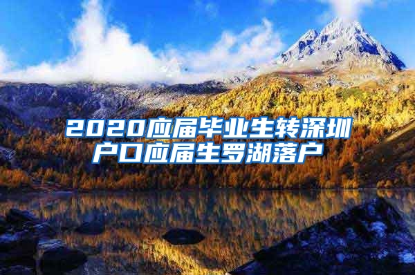 2020应届毕业生转深圳户口应届生罗湖落户