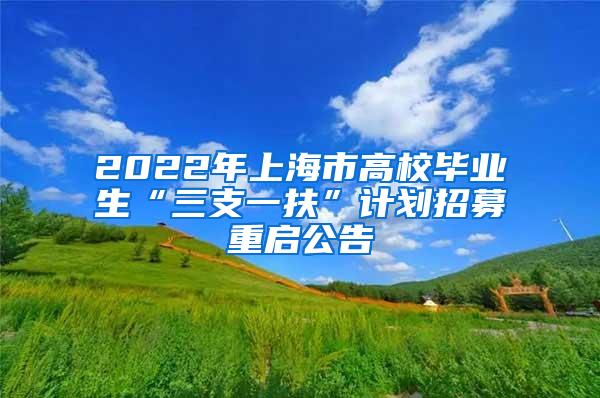 2022年上海市高校毕业生“三支一扶”计划招募重启公告