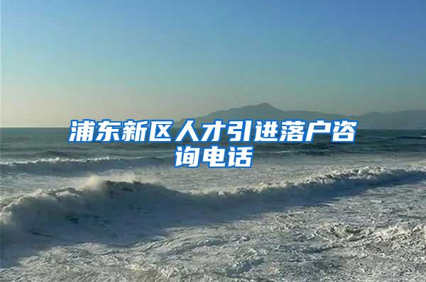 浦东新区人才引进落户咨询电话