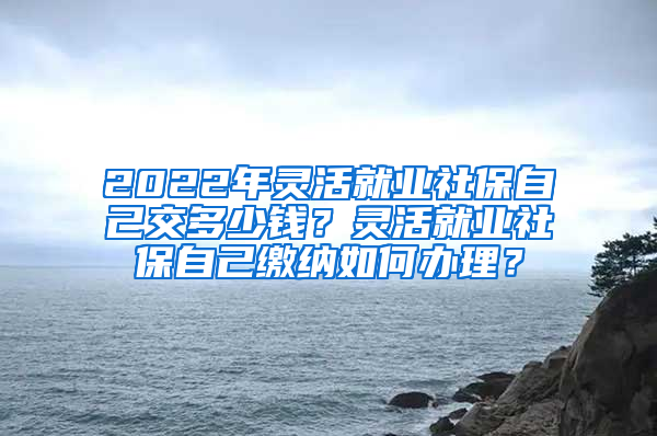 2022年灵活就业社保自己交多少钱？灵活就业社保自己缴纳如何办理？