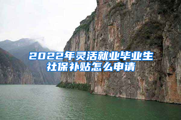 2022年灵活就业毕业生社保补贴怎么申请