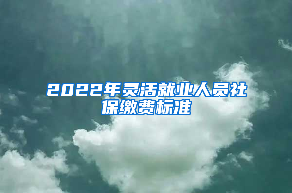 2022年灵活就业人员社保缴费标准