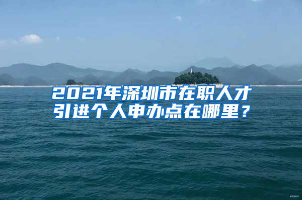 2021年深圳市在职人才引进个人申办点在哪里？