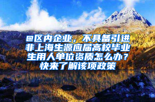 @区内企业，不具备引进非上海生源应届高校毕业生用人单位资质怎么办？快来了解该项政策