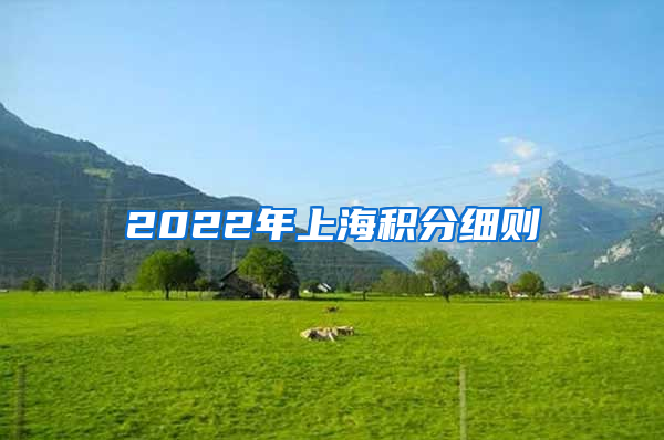 2022年上海积分细则