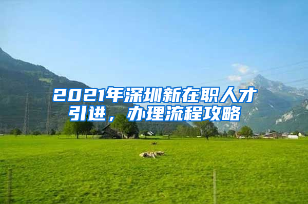 2021年深圳新在职人才引进，办理流程攻略