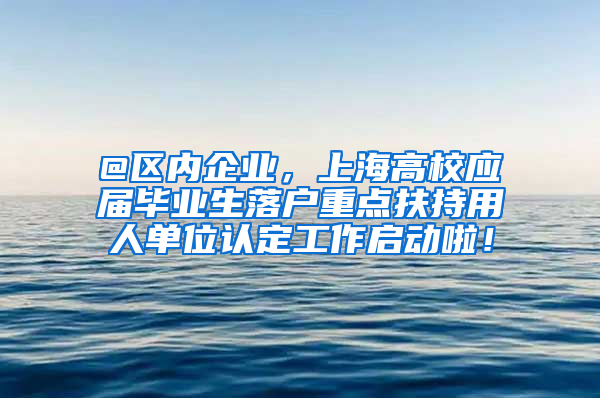 @区内企业，上海高校应届毕业生落户重点扶持用人单位认定工作启动啦！