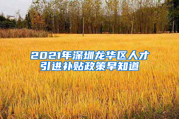 2021年深圳龙华区人才引进补贴政策早知道