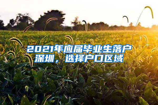 2021年应届毕业生落户深圳，选择户口区域