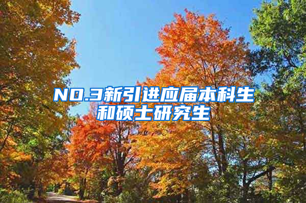 NO.3新引进应届本科生和硕士研究生