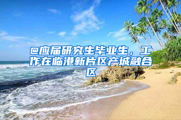 @应届研究生毕业生，工作在临港新片区产城融合区