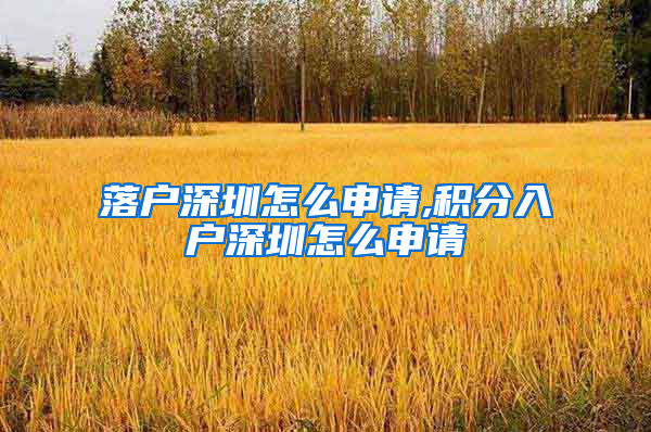 落户深圳怎么申请,积分入户深圳怎么申请